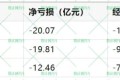 曹操出行更新招股书：2024年行业排名第二，司机时薪35.7元