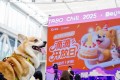 滴滴开放日：宠物出行一周年，闪现北京它博集