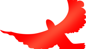 这些都是“长沙市网约车行业2023年度十佳驾驶员”，看看有没有你认识的~