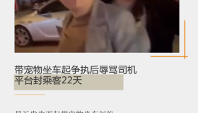 带宠物坐车起争执后辱骂司机