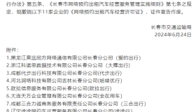 网约车平台清退开始了！6月11家平台被撤销经营许可，17家被责令整改