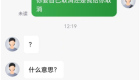 网约车退坑代价有多大？老师傅算了一笔经济账，决定继续卷下去！