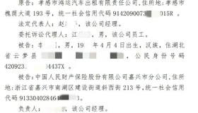 云梦私家车追尾出租车造成停运维修16天，赔偿停运损失10720元