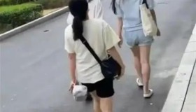 网约车乘客“开门杀”网约车平台及司机是否需要担责？