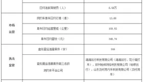 网约车旺季成绩单出来了，日均流水涨了10元