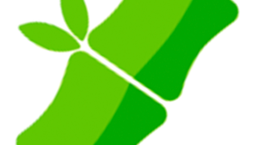 来成都耍哦！滴滴联合成都文旅发放6折打车优惠 组建演唱会保障车队