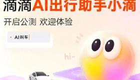 滴滴AI叫车开启公测