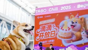 滴滴开放日：宠物出行一周年，闪现北京它博集