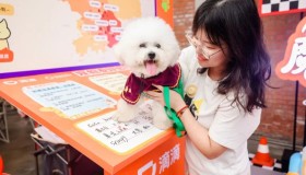 安心跑放心赚-滴滴司机服务计划