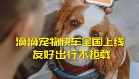 刚刚喜获“滴滴宠物快车”服务资质