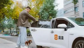 滴滴宠物订单新思路：宠物快车优质司机勋章